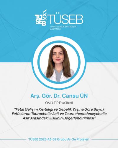 TÜSEB Desteğiyle Fetal Gelişim Kısıtlılığı ve Gebelik Yaşına göre Büyük Fetüslerde Safra Asitlerinin Rolü Araştırılıyor