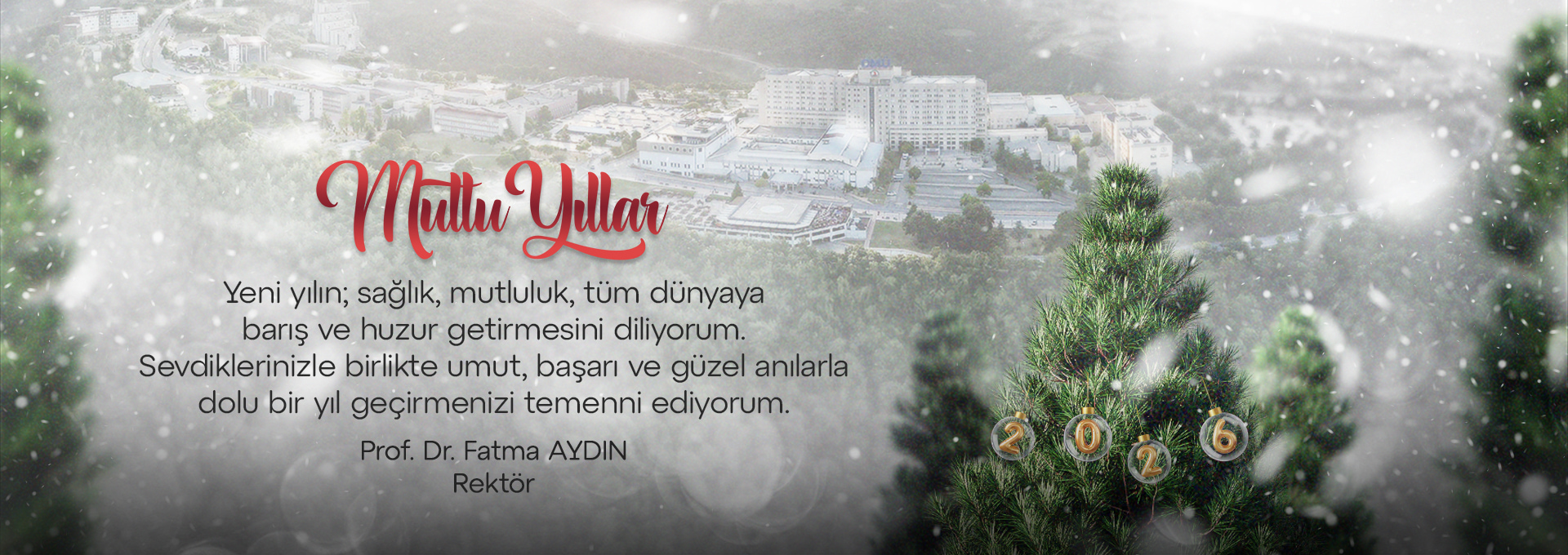 Yeni yılın sağlık, mutluluk, tüm dünyaya barış ve huzur getirmesini diliyorum