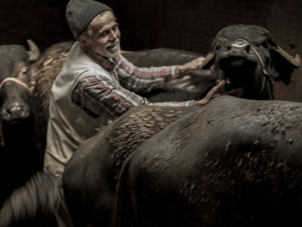 Fotoğraf: Ali Kemal Ayan
