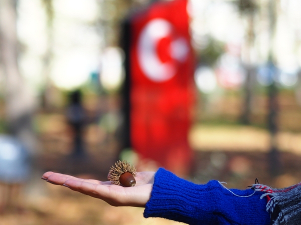 Turgut Kanıcıoğlu