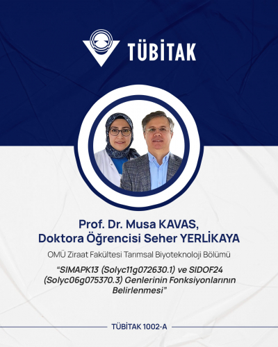 Ondokuz Mayıs Üniversitesi’nden Tarımsal Biyoteknoloji Alanında Önemli Başarı